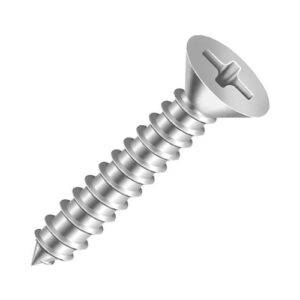 Parafuso Autoatarraxante Cabeça Chata Philips Branco